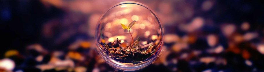 Akanbi Lameed's cover image